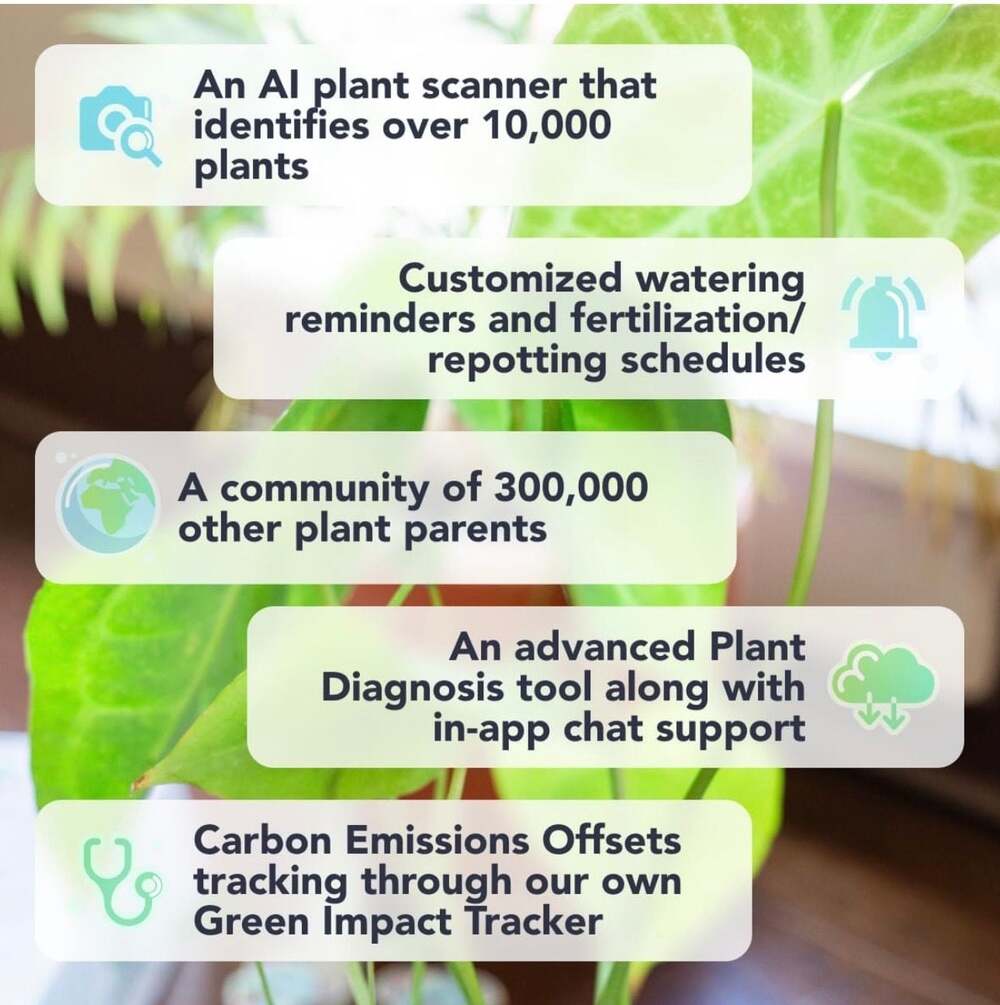 Flora Pod Smart Plant Sensor - Moisture, Light, Humidity & Temp Monitor - Picture 13 of 15